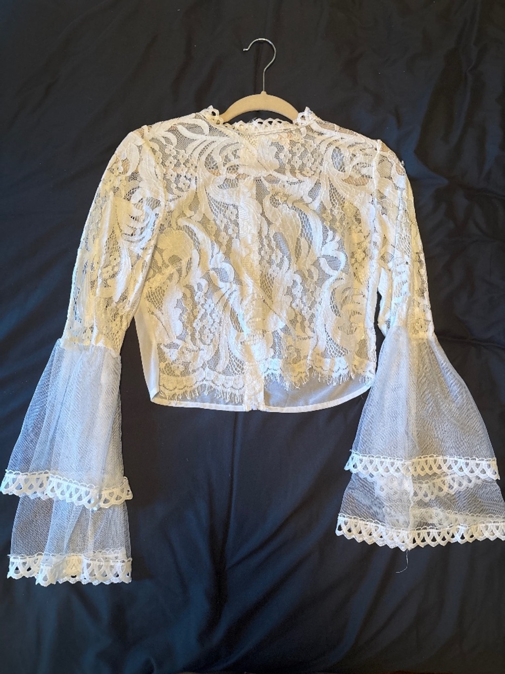 Beautiful Lace Cropped Blouse